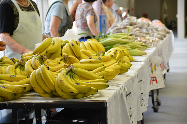 第20回函館市総合福祉センターまつり