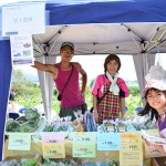 函館蔦屋書店はこだてひまわり夏まつり