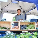 函館蔦屋書店はこだてひまわり夏まつり