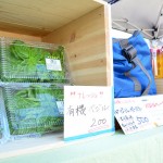 函館蔦屋書店はこだてひまわり夏まつり