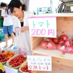 函館蔦屋書店はこだてひまわり夏まつり