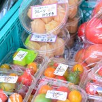 函館蔦屋書店はこだてひまわり夏まつり