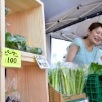 函館蔦屋書店はこだてひまわり夏まつり