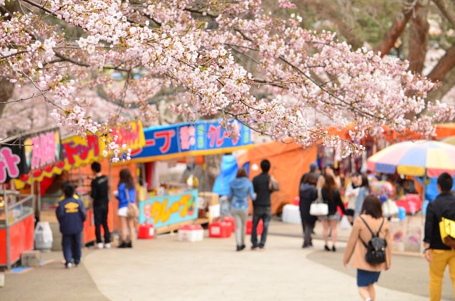 函館公園露店