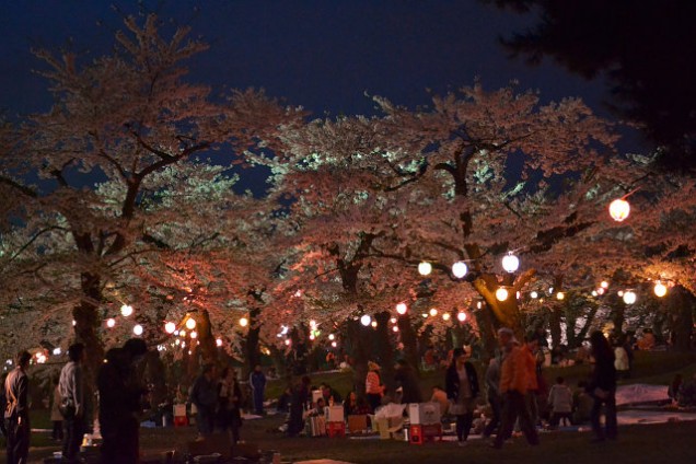 五稜郭公園の電飾