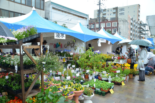 はこだて花と緑のフェスティバル2015