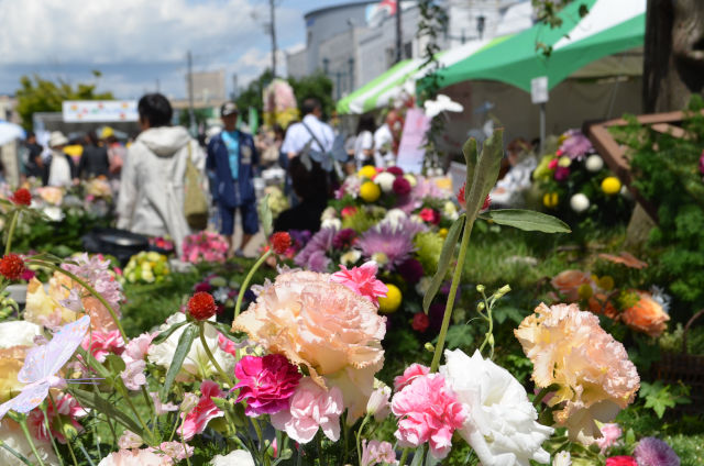 はこだて花と緑のフェスティバル