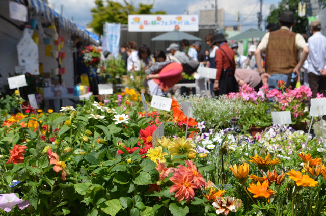 はこだて花と緑のフェスティバル2015