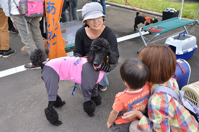 動物ふれあいフェスティバル2015