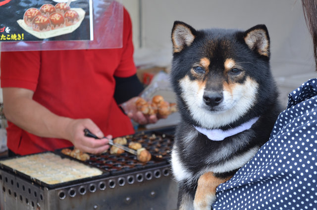 七飯町北海道新幹線カウントダウンイベント