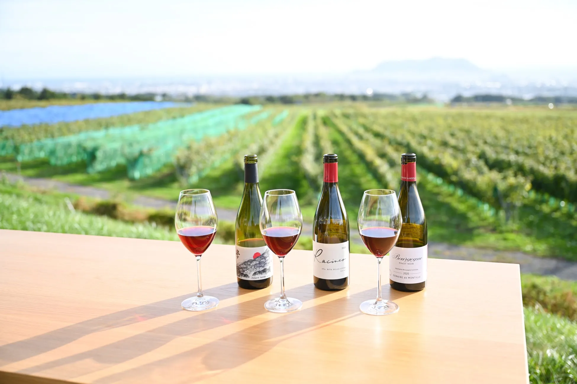 ワイングラスに入った赤ワインとワインボトルがテーブルに置かれ、背景にはブドウ畑が広がる風景